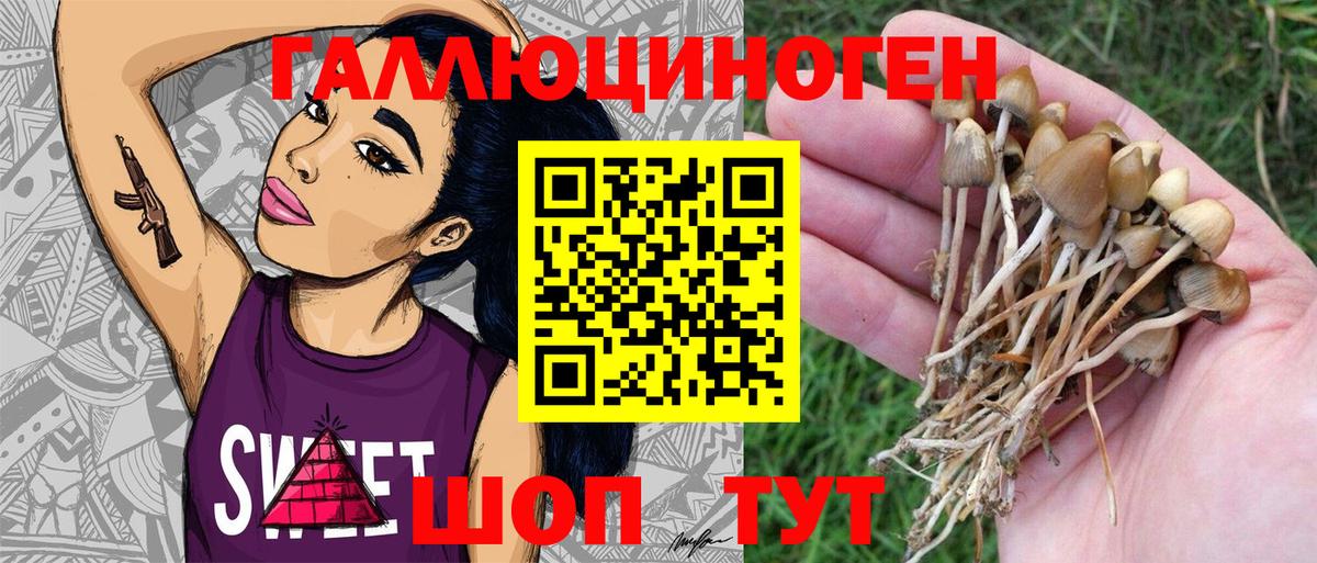 Маркс  Псилоцибиновые грибы мухоморы  Вход с VPN 