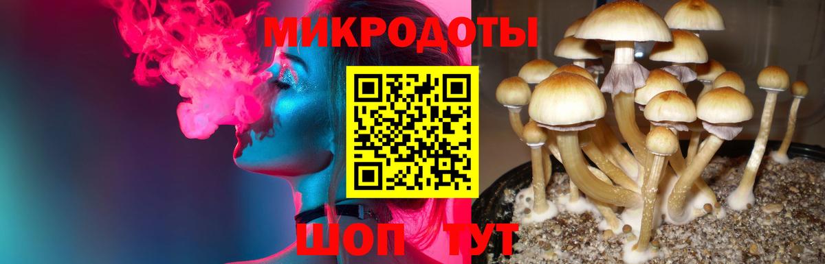 Псилоцибиновые грибы Magic Shrooms Маркс